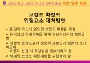 [마케팅 전략] 브랜드 이미지와 제품 포지셔닝을 통한 마케팅 전략 분석 57페이지