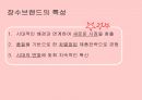 [마케팅전략] 농심 신라면의 장수 브랜드 마케팅 전략 분석 4페이지
