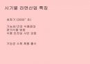 [마케팅전략] 농심 신라면의 장수 브랜드 마케팅 전략 분석 10페이지