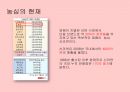 [마케팅전략] 농심 신라면의 장수 브랜드 마케팅 전략 분석 24페이지