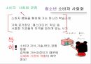 [소비경제학] 가족 소비 의사결정에 대한 마케팅 전략 분석 16페이지