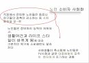 [소비경제학] 가족 소비 의사결정에 대한 마케팅 전략 분석 18페이지