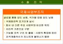 글로벌 마케팅 전략에 적합한 조직 구조의 설계 10페이지