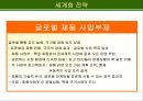 글로벌 마케팅 전략에 적합한 조직 구조의 설계 13페이지