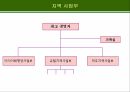 글로벌 마케팅 전략에 적합한 조직 구조의 설계 19페이지