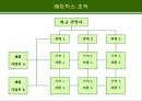 글로벌 마케팅 전략에 적합한 조직 구조의 설계 23페이지