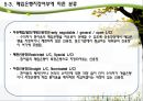 신용장의 특징 및 종류에 대한 분석 12페이지