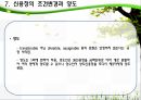 신용장의 특징 및 종류에 대한 분석 27페이지