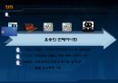 [컨테이너작업관리] 컨테이너 운송의 특징 및 보험 유형에 대한 분석 4페이지