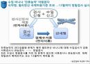 [통관 및 관세] 수입통관 절차와 수입신고에 대한 분석 20페이지