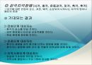 [간호학] 정신분열병 증상에 대한 간호 진단(파워포인트) 3페이지