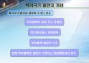 [사회복지학] 복지국가의 제도 및 발전(역사) 과정에 대한 분석 3페이지