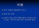 중국 문화산업의 종류와 특징에 대한 분석 45페이지