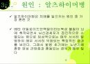치매노인 부양가족을 위한 복지증진 방안 6페이지
