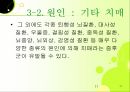 치매노인 부양가족을 위한 복지증진 방안 11페이지