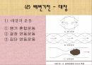 [간호학 A+] 배변장애의 종류 및 치료(간화과정 실습) 5페이지