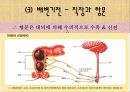 [간호학 A+] 배변장애의 종류 및 치료(간화과정 실습) 7페이지