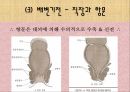 [간호학 A+] 배변장애의 종류 및 치료(간화과정 실습) 8페이지