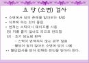 [간호학] 당뇨의 원인과 인슐린 주사에 대한 분석 13페이지