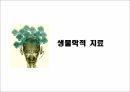 [정신간호학] 정신분열병(Schizophrenia)의 생물학적 치료와 사회 심리적 치료에 대한 분석 4페이지