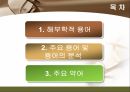 [해부학 A+] 심혈 관계(Cardiovascular System) 용어 정의 및 분석 2페이지