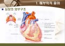 [해부학 A+] 심혈 관계(Cardiovascular System) 용어 정의 및 분석 3페이지