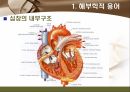 [해부학 A+] 심혈 관계(Cardiovascular System) 용어 정의 및 분석 4페이지
