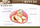 [해부학 A+] 심혈 관계(Cardiovascular System) 용어 정의 및 분석 5페이지