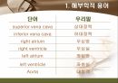 [해부학 A+] 심혈 관계(Cardiovascular System) 용어 정의 및 분석 6페이지