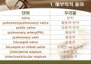 [해부학 A+] 심혈 관계(Cardiovascular System) 용어 정의 및 분석 7페이지