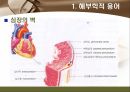 [해부학 A+] 심혈 관계(Cardiovascular System) 용어 정의 및 분석 8페이지