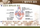 [해부학 A+] 심혈 관계(Cardiovascular System) 용어 정의 및 분석 10페이지