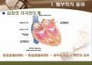 [해부학 A+] 심혈 관계(Cardiovascular System) 용어 정의 및 분석 11페이지