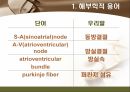 [해부학 A+] 심혈 관계(Cardiovascular System) 용어 정의 및 분석 13페이지