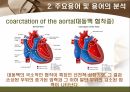 [해부학 A+] 심혈 관계(Cardiovascular System) 용어 정의 및 분석 15페이지