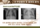 [해부학 A+] 심혈 관계(Cardiovascular System) 용어 정의 및 분석 16페이지