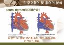 [해부학 A+] 심혈 관계(Cardiovascular System) 용어 정의 및 분석 17페이지