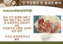 [해부학 A+] 심혈 관계(Cardiovascular System) 용어 정의 및 분석 18페이지