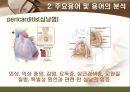 [해부학 A+] 심혈 관계(Cardiovascular System) 용어 정의 및 분석 19페이지
