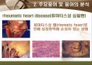 [해부학 A+] 심혈 관계(Cardiovascular System) 용어 정의 및 분석 20페이지