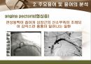[해부학 A+] 심혈 관계(Cardiovascular System) 용어 정의 및 분석 21페이지
