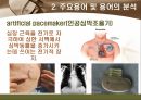 [해부학 A+] 심혈 관계(Cardiovascular System) 용어 정의 및 분석 23페이지