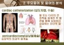 [해부학 A+] 심혈 관계(Cardiovascular System) 용어 정의 및 분석 24페이지