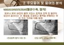 [해부학 A+] 심혈 관계(Cardiovascular System) 용어 정의 및 분석 27페이지