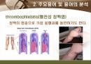 [해부학 A+] 심혈 관계(Cardiovascular System) 용어 정의 및 분석 28페이지