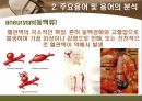[해부학 A+] 심혈 관계(Cardiovascular System) 용어 정의 및 분석 29페이지