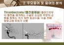 [해부학 A+] 심혈 관계(Cardiovascular System) 용어 정의 및 분석 32페이지