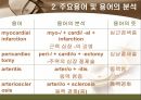 [해부학 A+] 심혈 관계(Cardiovascular System) 용어 정의 및 분석 34페이지