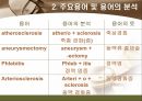 [해부학 A+] 심혈 관계(Cardiovascular System) 용어 정의 및 분석 35페이지