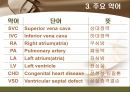 [해부학 A+] 심혈 관계(Cardiovascular System) 용어 정의 및 분석 36페이지